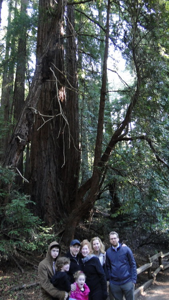 177 Muir Woods .JPG