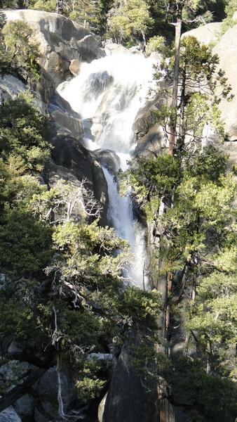 463 yosemite.JPG