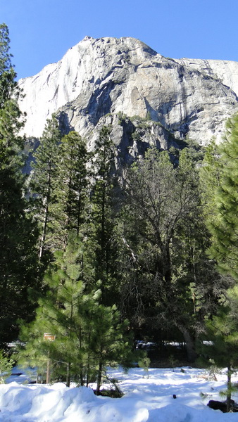 553 yosemite.JPG