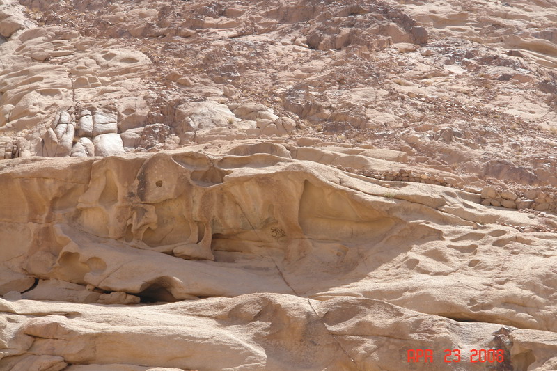 location of golden calf.JPG