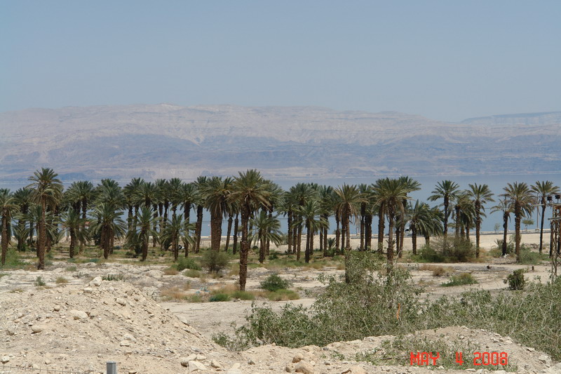 Ein Gedi