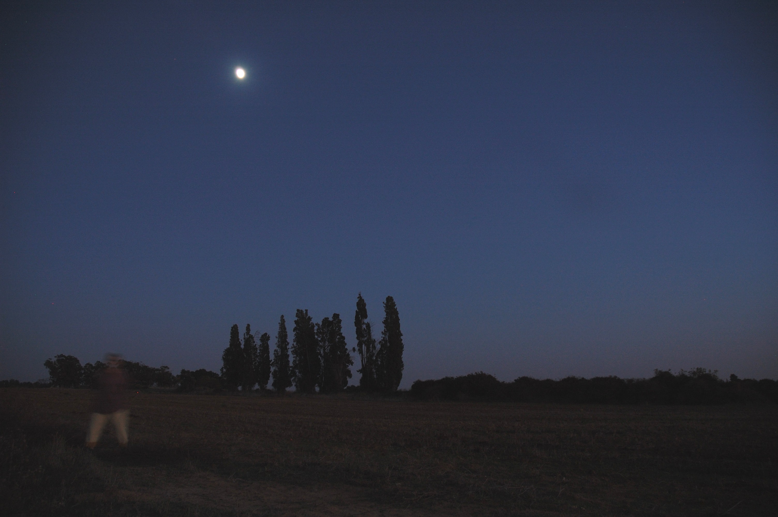 dsc_0048.jpg