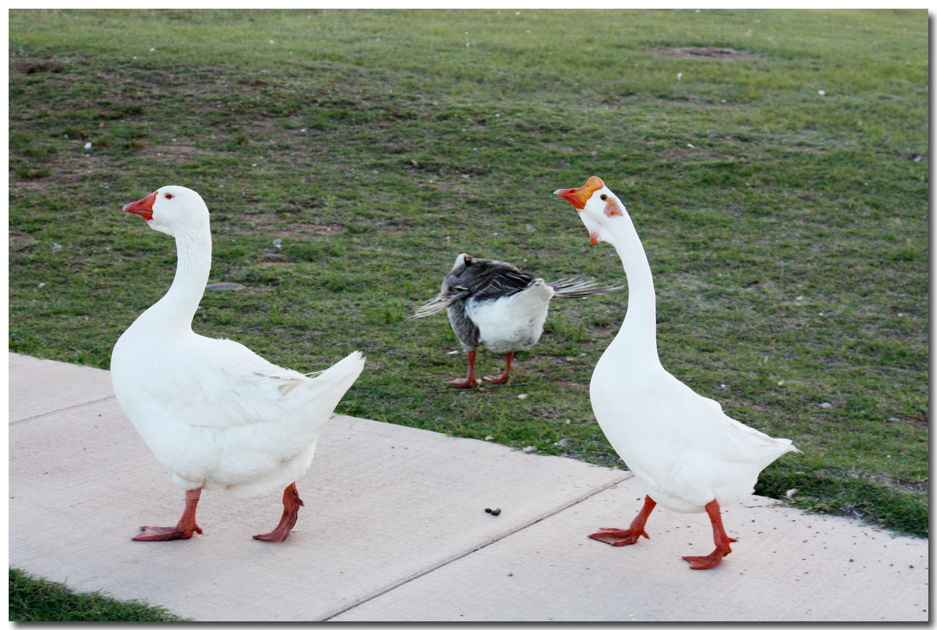 Park_IMG_2926.jpg