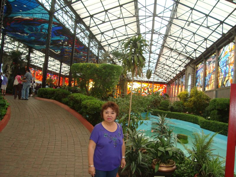 Cosmovitral