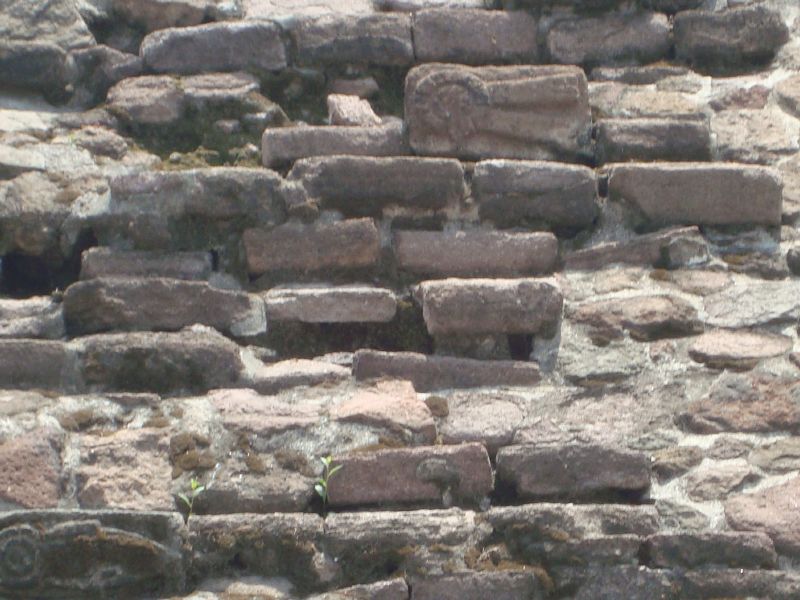 GLIFOS