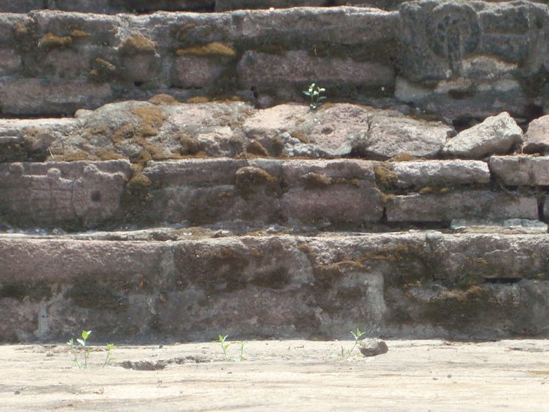 GLIFOS