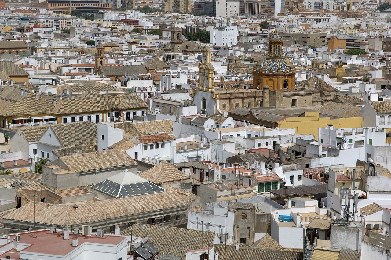 From the Giralda tower