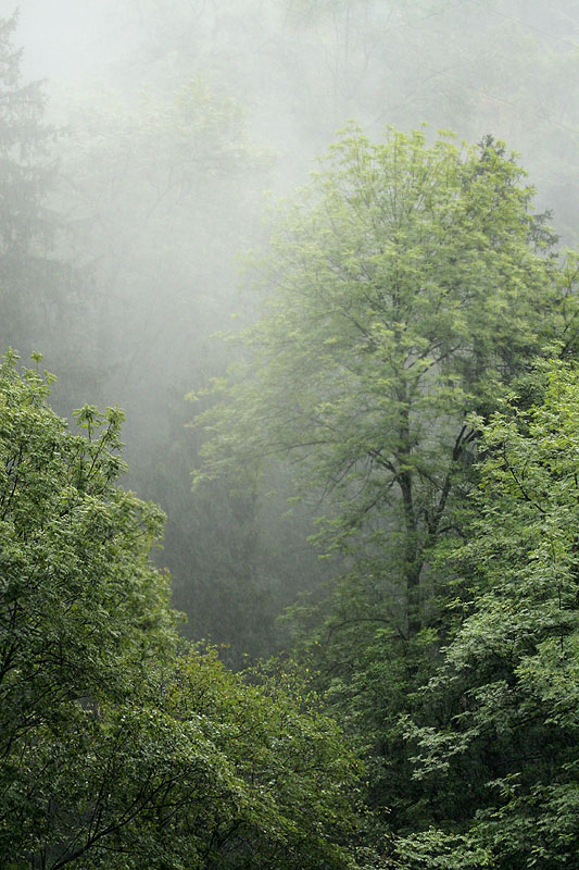 der Herbst kommt...