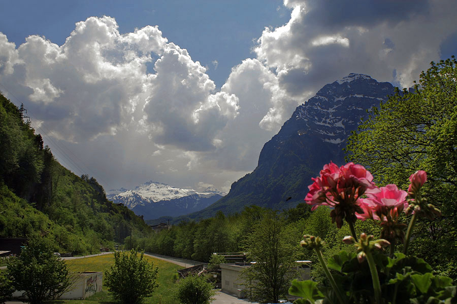 Blick vom Balkon