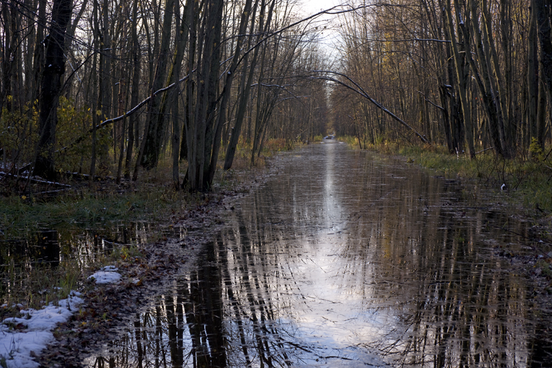 Flooded Road