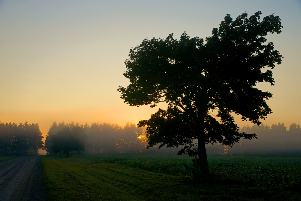 Sideroad Sunrise