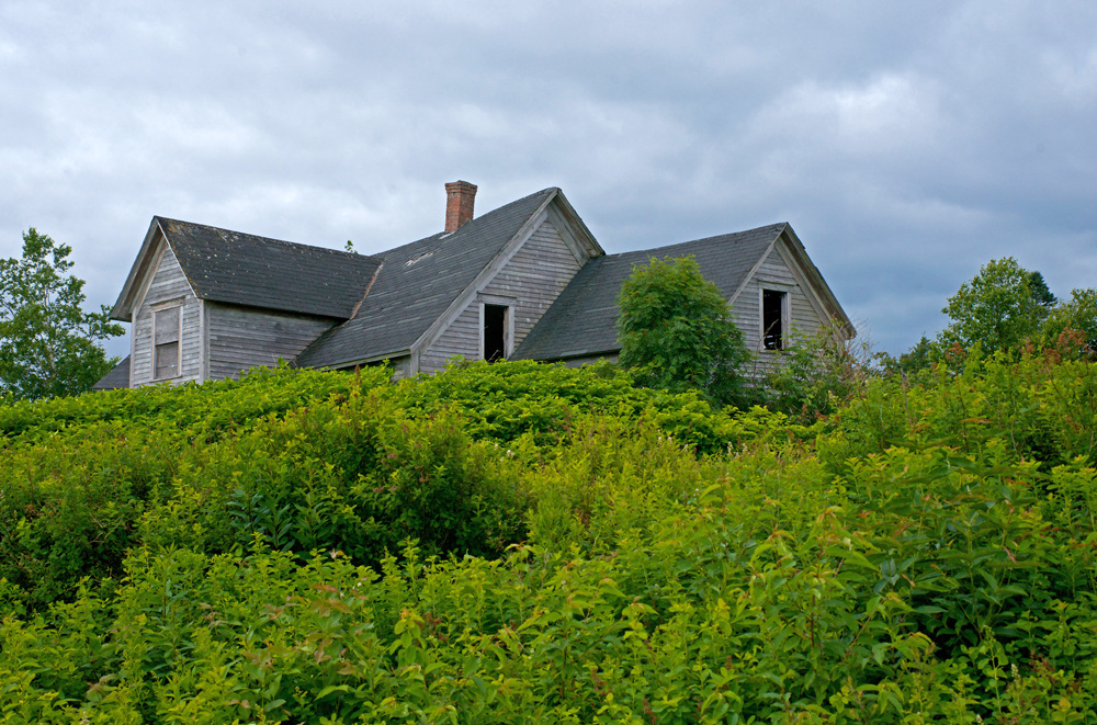 Old House