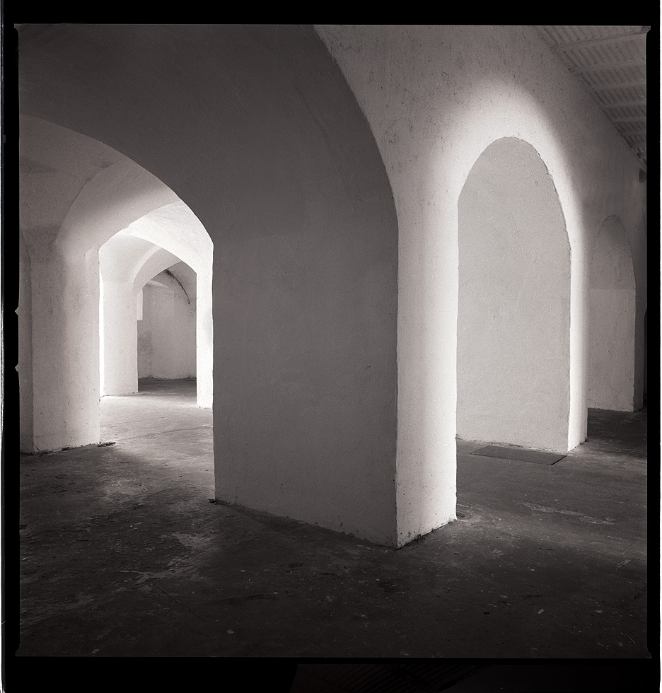 Fort Moultrie #1