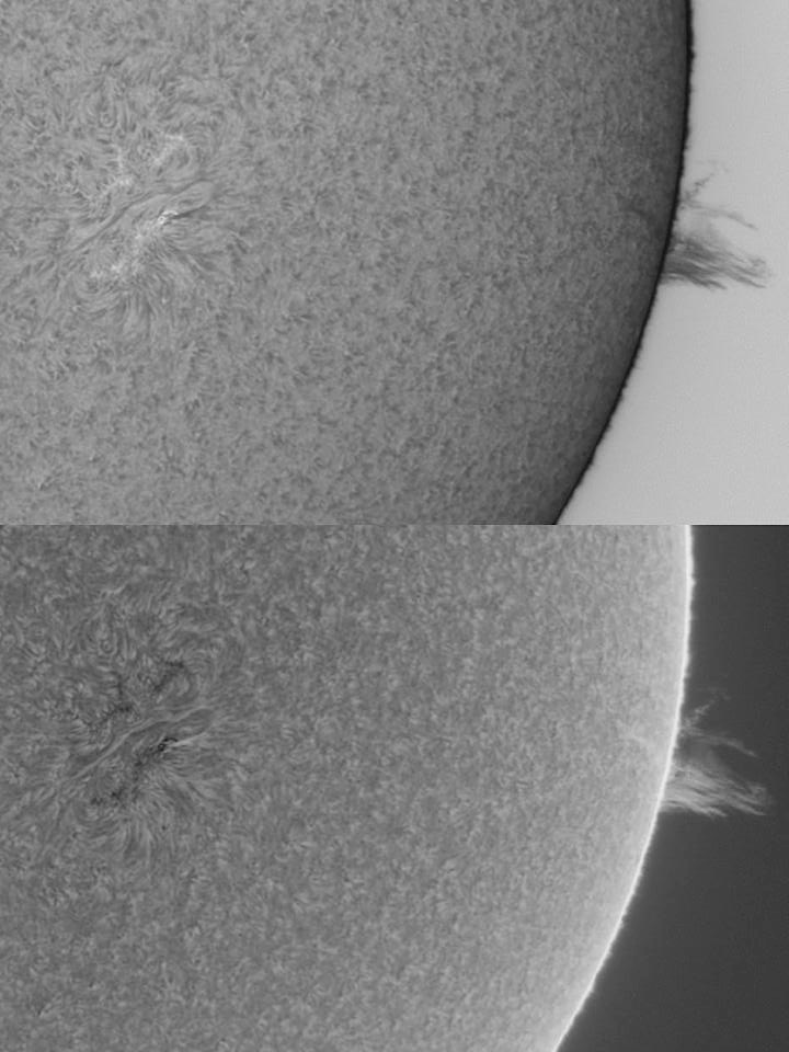 AR 1059 plus prominence 5 April 2010