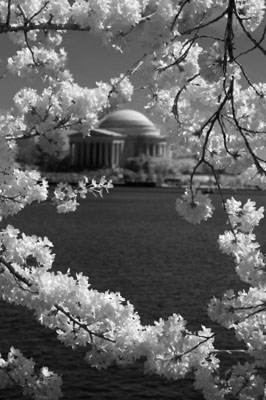 o2/49/846149/1/96289724.fwTDZwD4.Infrared_C_C_0051.jpg