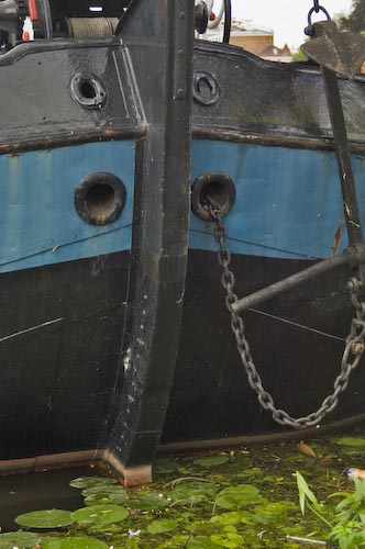 Leiden_Boat_&_Lilly_Pads,_Holland_DSC1819.jpg