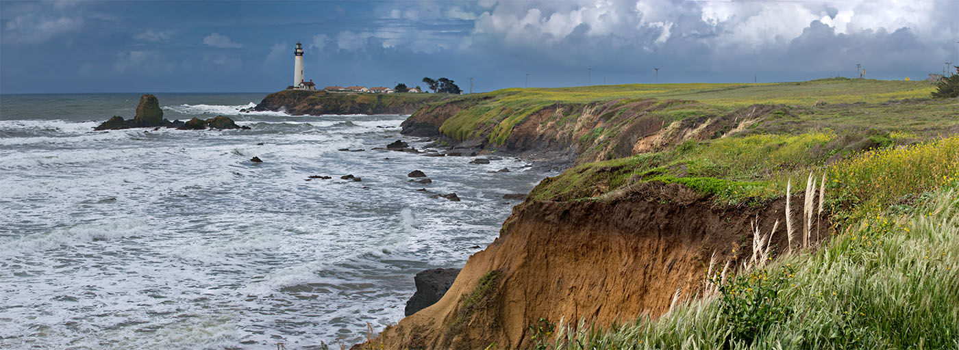 Pigeon Point Bluffs