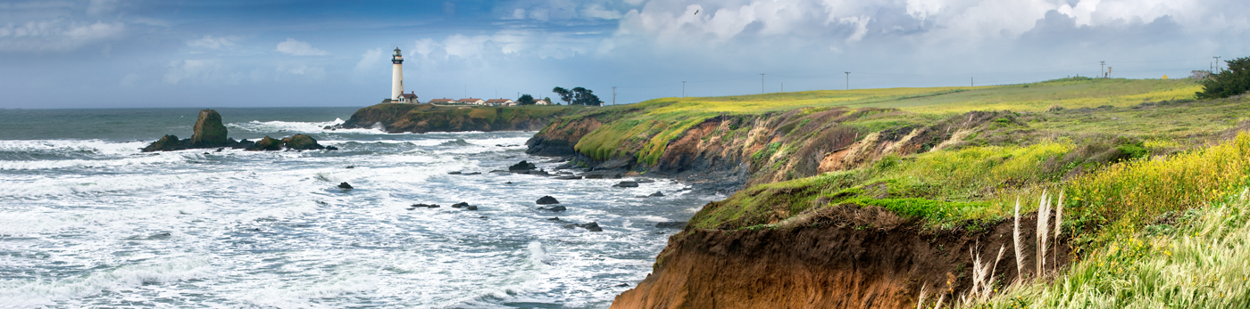 Pigeon Point Cliffs