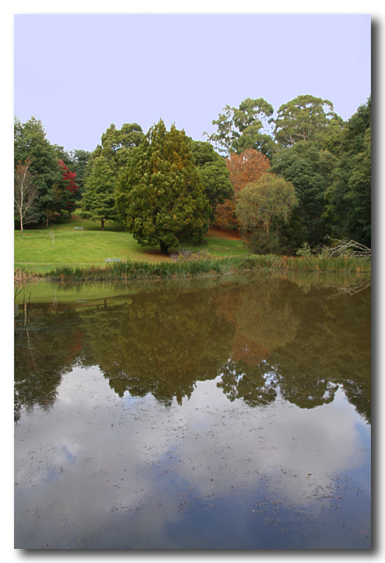 Reflections
