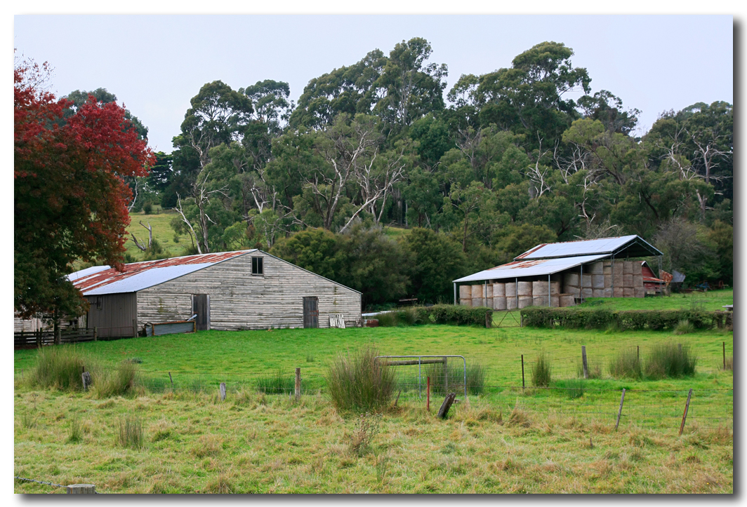 Barn & Hay Shed