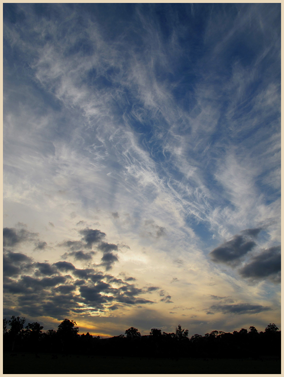 Late Afternoon Cloud