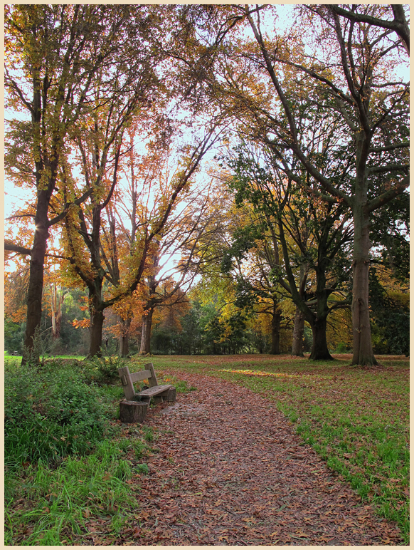 Autumn Pathway