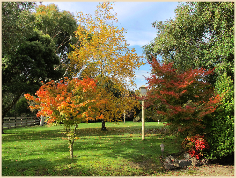 Our front garden