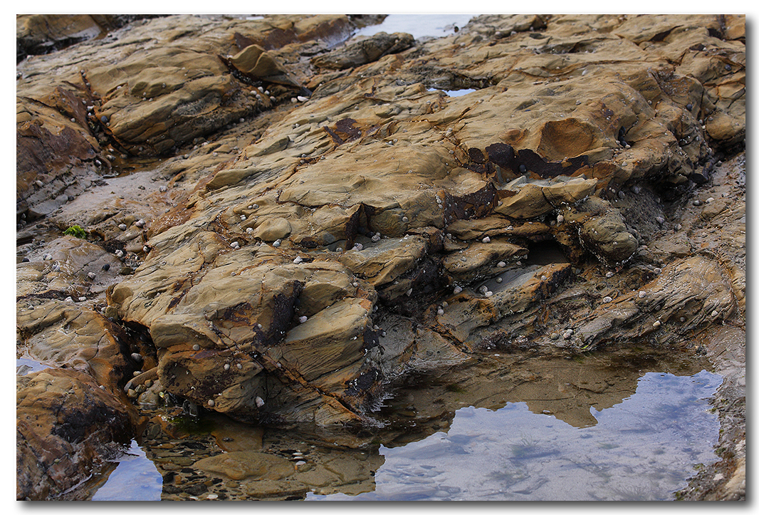Rocks 