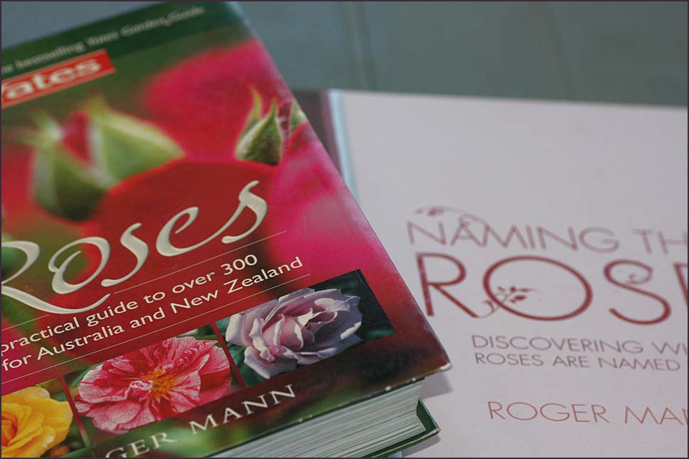 Thursday challenge - books