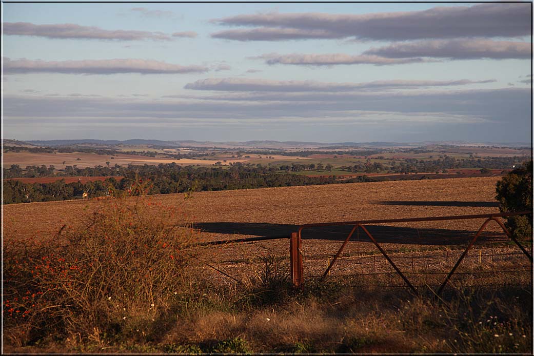 Long shadows of the late afternoon sun