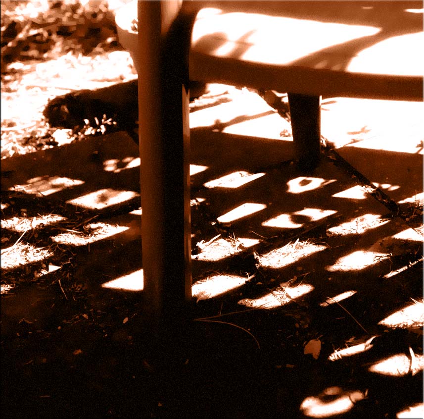 Shadows