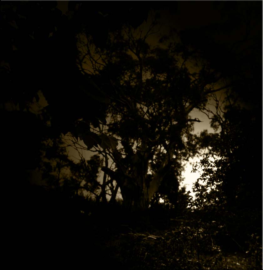 Darkness