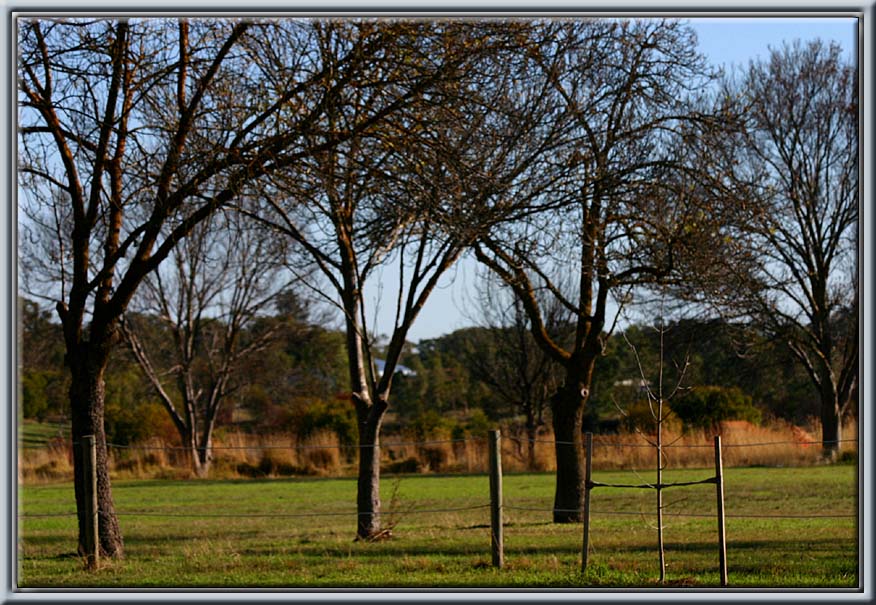 Autumn in the Southern Vales