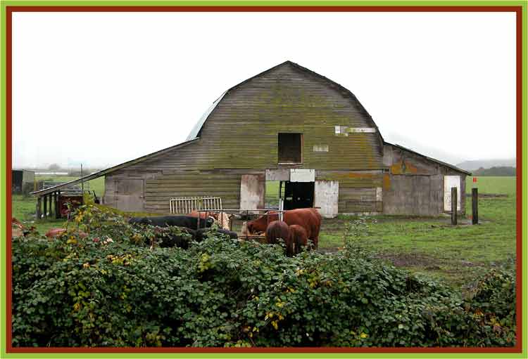 No red paint for this barn.