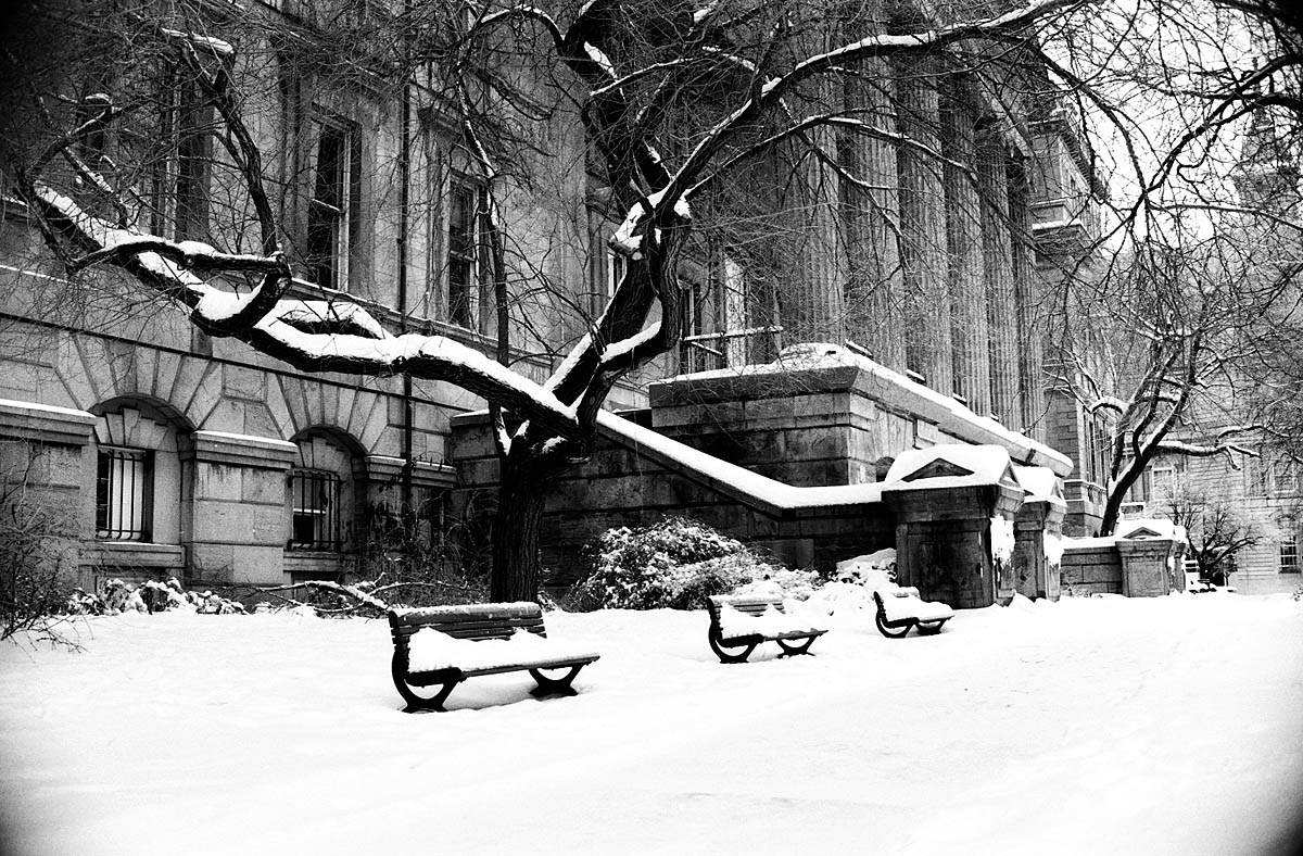 Winter in black and white