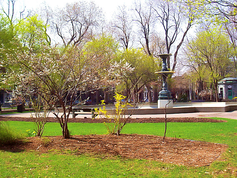 100_2676b.jpg