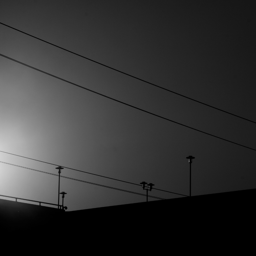 117:365<br> Lines