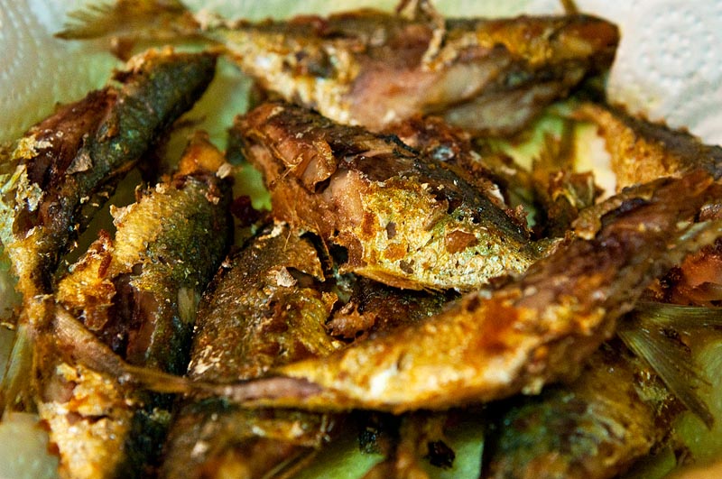 Fried Ikan Kembong