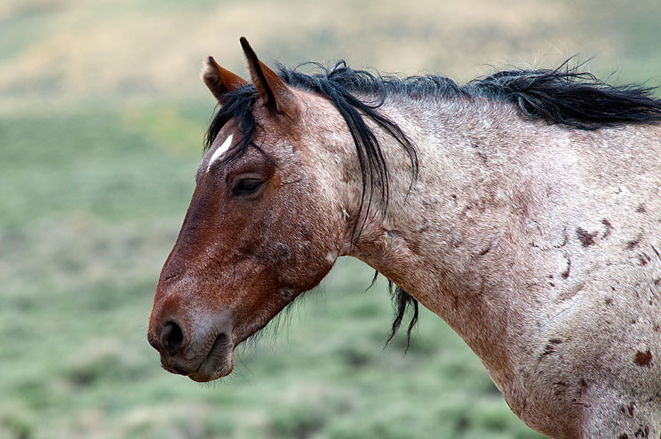_DSC0678.web.jpg