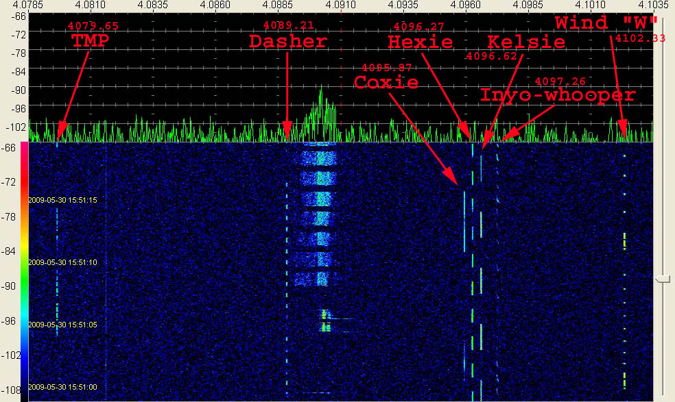 Pirate_beacons_4091_25_053009_anot.jpg