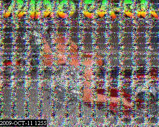 200910111255.jpg