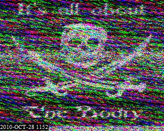 201010281152.jpg
