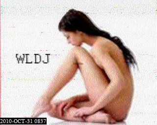 201010310837.jpg