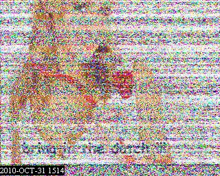 201010311514.jpg