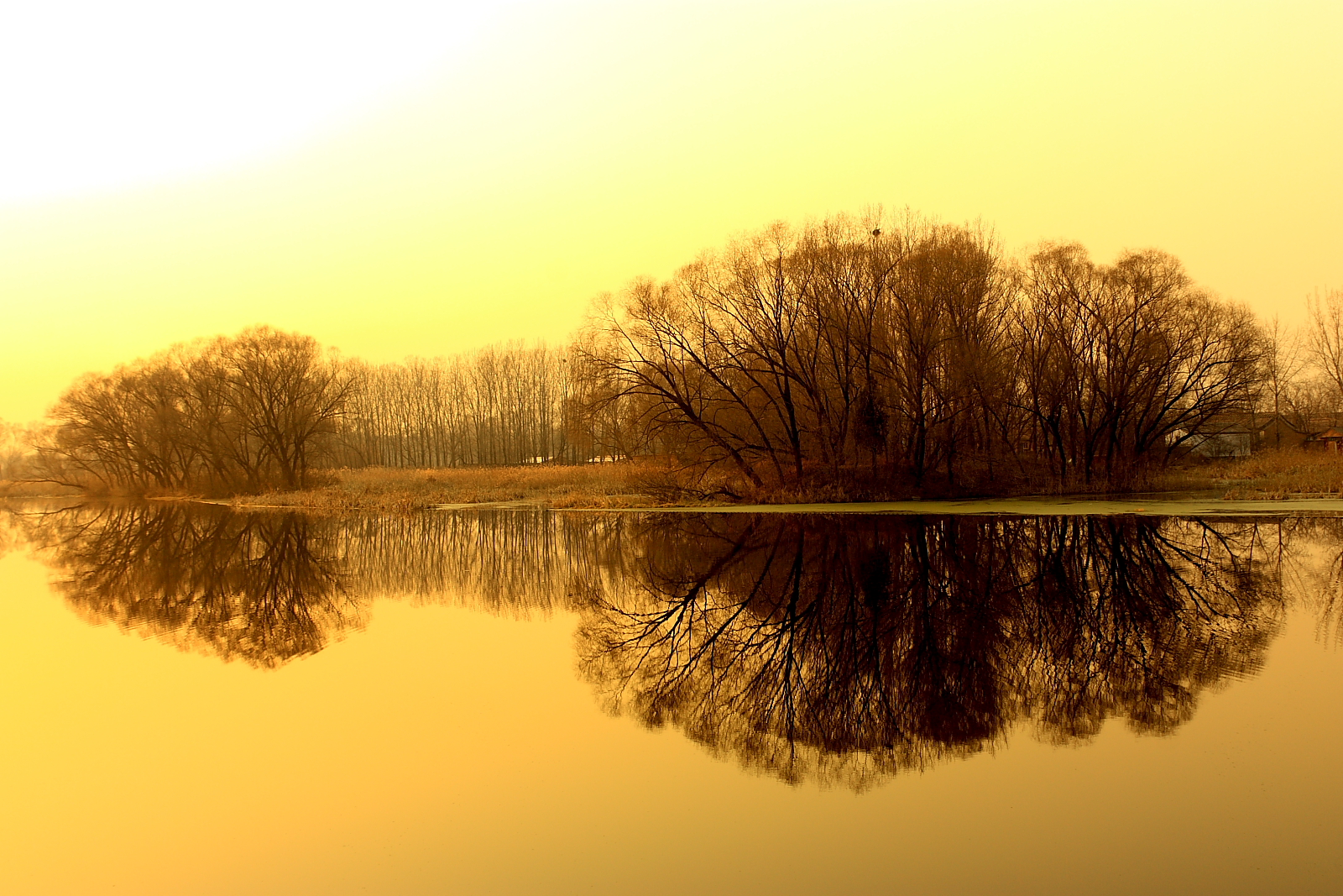 Sunset in Lake