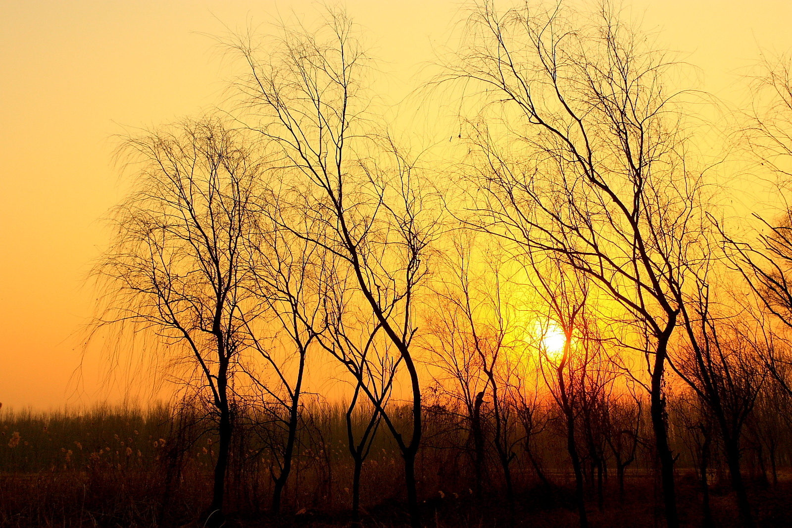 Sunset in Lake 2