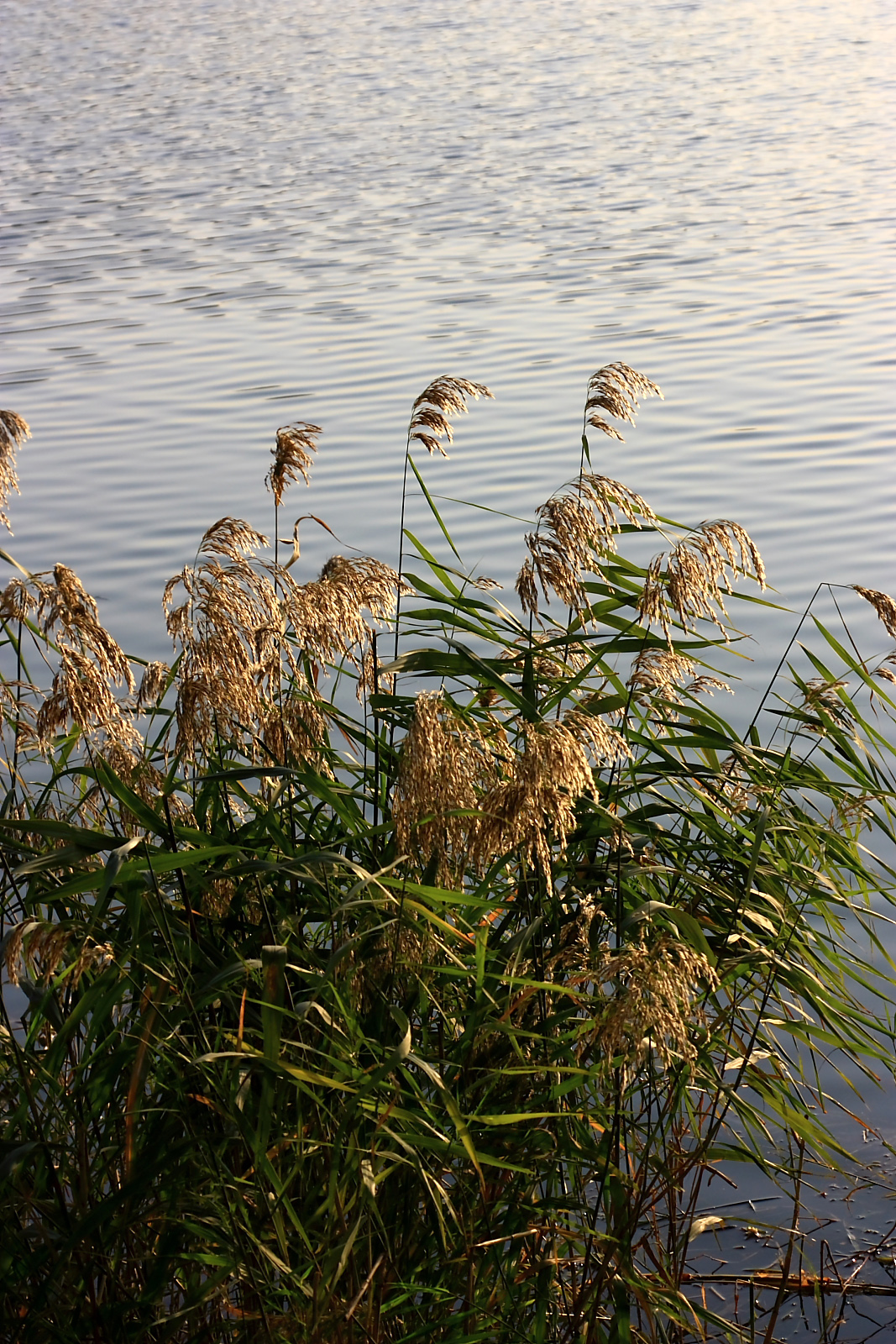 IMG_1561_web1.JPG