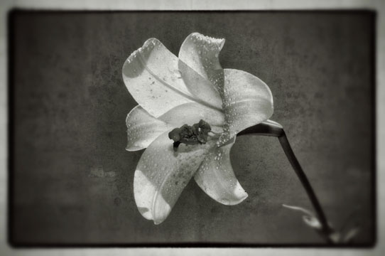 last darkroom work