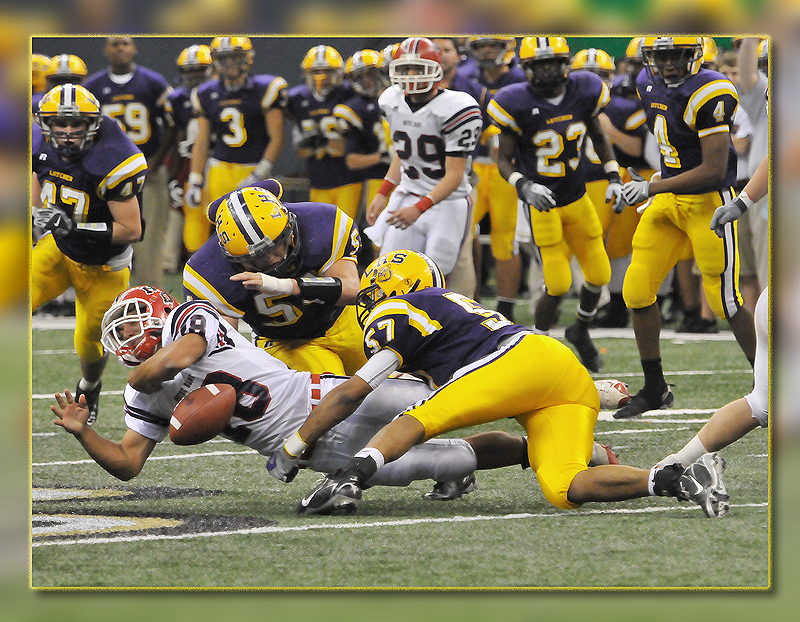 Lutcher Bulldogs - 2008 State High School Football Class 3A Champions