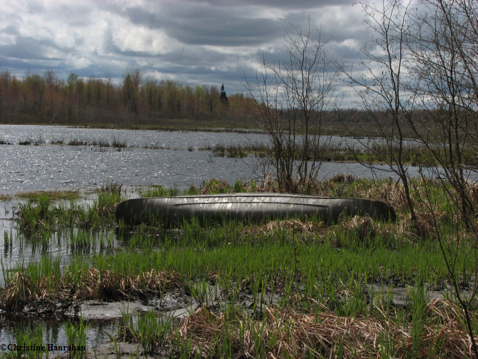 Pond near Gagnon Rd.